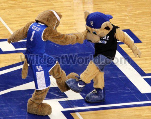 Kentucky Mascots - photo by Walter Cornett | WildcatWorld.com